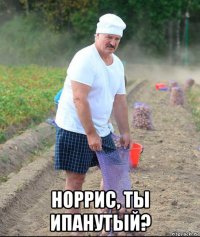  норрис, ты ипанутый?