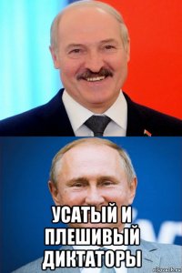  усатый и плешивый диктаторы