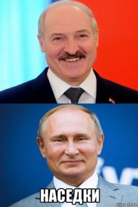 наседки