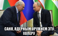 саня, ядерным оружием эту холеру