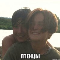  птенцы