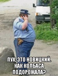  пух, это новицкий. как колбаса подорожала?