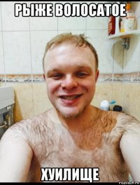 рыже волосатое хуилище