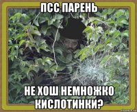 псс парень не хош немножко кислотинки?