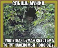 слышь мужик.. туалетная бумажка есть? а то тут насекомые повсюду..