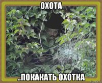 охота ..покакать охотка