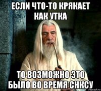 если что-то крякает как утка то возможно это было во время снксу
