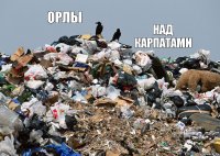 орлы над карпатами