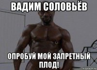 вадим соловьёв опробуй мой запретный плод!