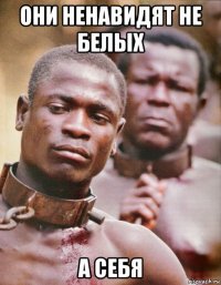 они ненавидят не белых а себя