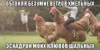 обгоняя безумие ветров хмельных эскадрон моих клювов шальных