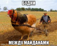 будни между майданами