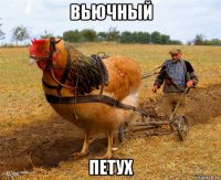 вьючный петух