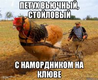 петух вьючный, стойловый с намордником на клюве