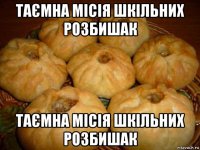 таємна місія шкільних розбишак таємна місія шкільних розбишак