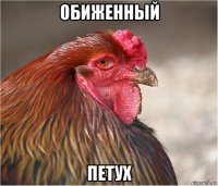 обиженный петух
