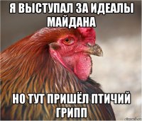 я выступал за идеалы майдана но тут пришёл птичий грипп