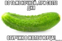во тьме ночной , при свете дня огурчик в жопе у юрца!