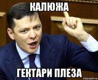 калюжа гектари плеза