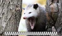  ааааааааааааааааааааааааааа