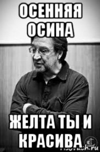осенняя осина желта ты и красива