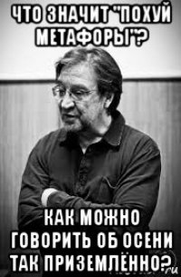 что значит "похуй метафоры"? как можно говорить об осени так приземлённо?