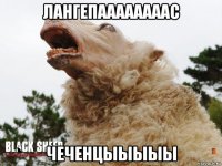 лангепаааааааас чеченцыыыыы