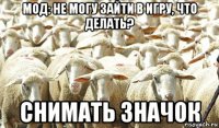 мод: не могу зайти в игру, что делать? снимать значок