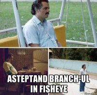  asteptand branch-ul in fisheye