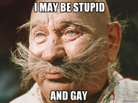 i may be stupid and gay