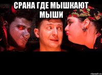 срана где мышкают мыши 