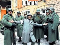 шалом 