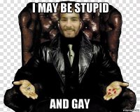 i may be stupid and gay