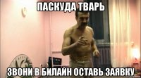 паскуда тварь звони в билайн оставь заявку