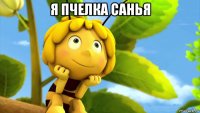 я пчелка санья 