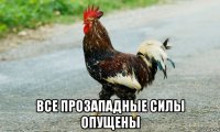  все прозападные силы опущены
