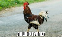  ляшко гуляет