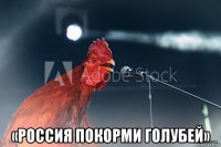  «россия покорми голубей»