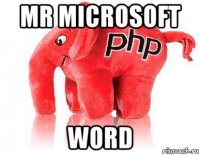 mr microsoft word