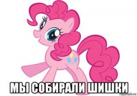  мы собирали шишки