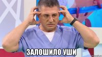  залошило уши