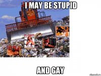 i may be stupid and gay