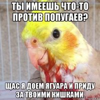ты имеешь что-то против попугаев? щас я доем ягуара и приду за твоими кишками.