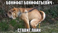 - бонифат бонифатьевич - - ставит лайк -