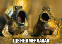  ще не вмерлаааа