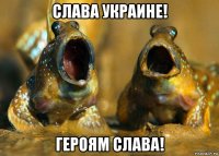 слава украине! героям слава!