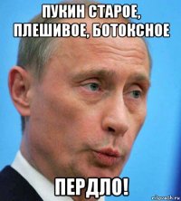 пукин старое, плешивое, ботоксное пердло!