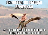 он улетел, но обещал вернуться путин мигрирует в жаркий лондон, вслед за золотом россии!