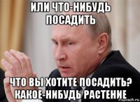 или что-нибудь посадить что вы хотите посадить? какое-нибудь растение