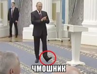  чмошник